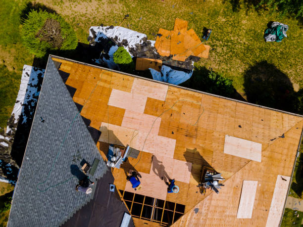 Best Roof Leak Repair  in Vaiden, MS