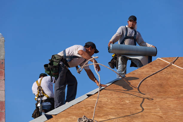 Best Shingle Roofing Installation  in Vaiden, MS