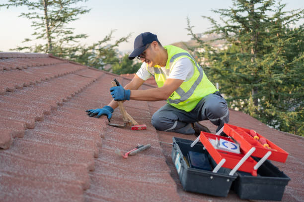 Best Roof Gutter Cleaning  in Vaiden, MS