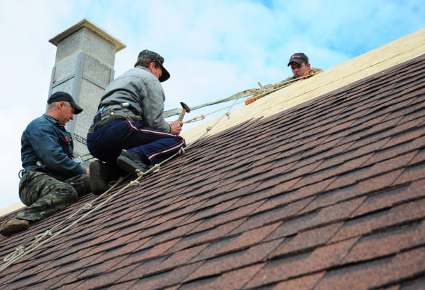 Professional Roofing Contractor in Vaiden, MS
