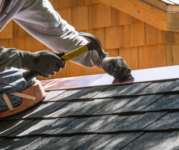 Best Local Roofing Companies  in Vaiden, MS